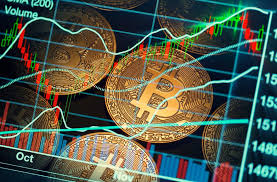 Discover the Best Trading Software Crypto for 2023 Discover the Best Trading Software Crypto for 2023